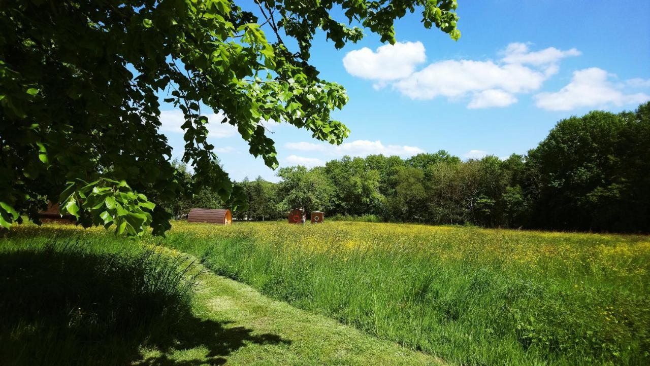 Domaine De La Grangee Villa La Chapelle-Blanche-Saint-Martin Kültér fotó