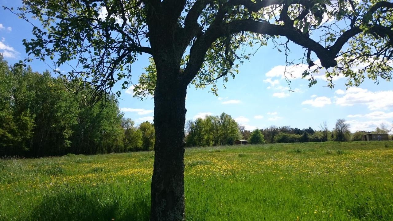 Domaine De La Grangee Villa La Chapelle-Blanche-Saint-Martin Kültér fotó