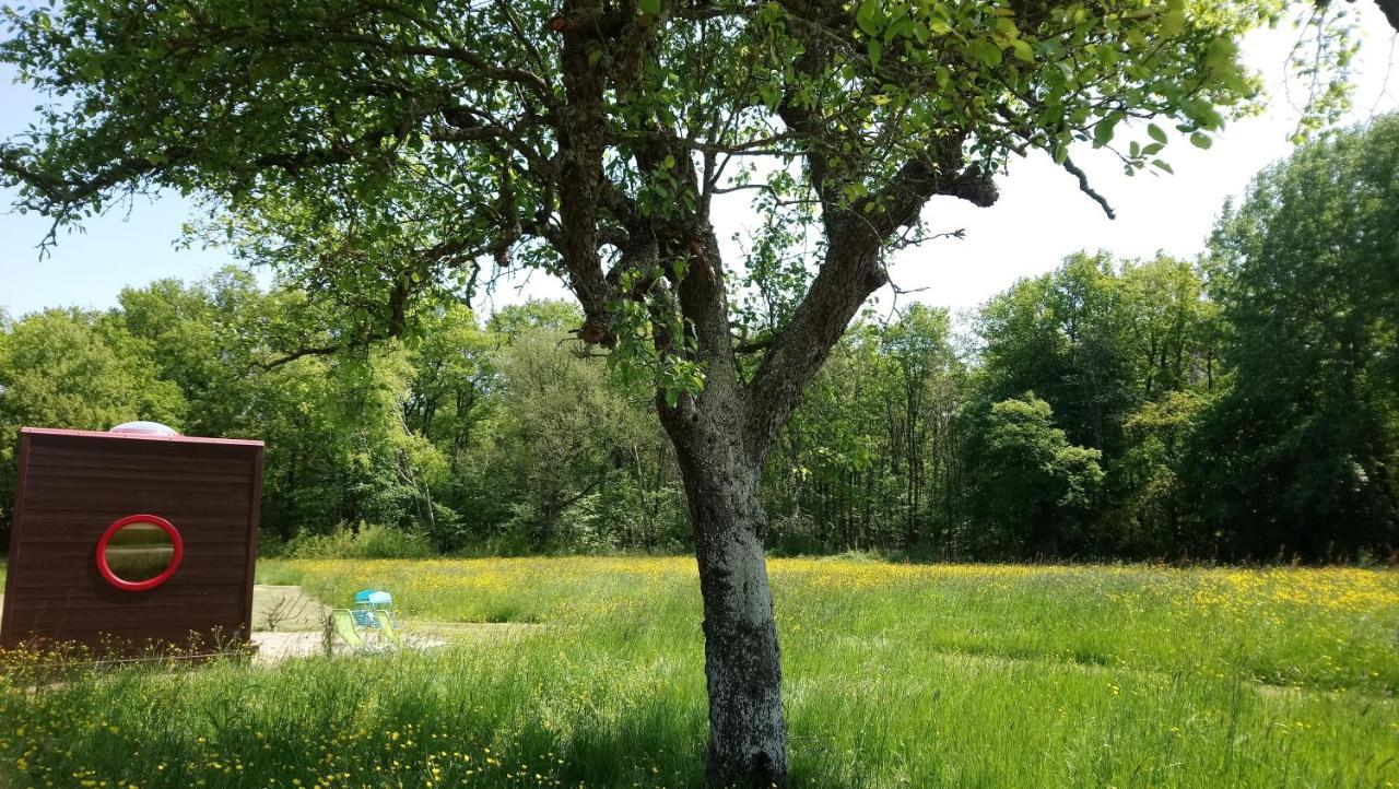 Domaine De La Grangee Villa La Chapelle-Blanche-Saint-Martin Kültér fotó